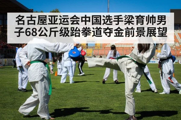taekwondo athlete high kick